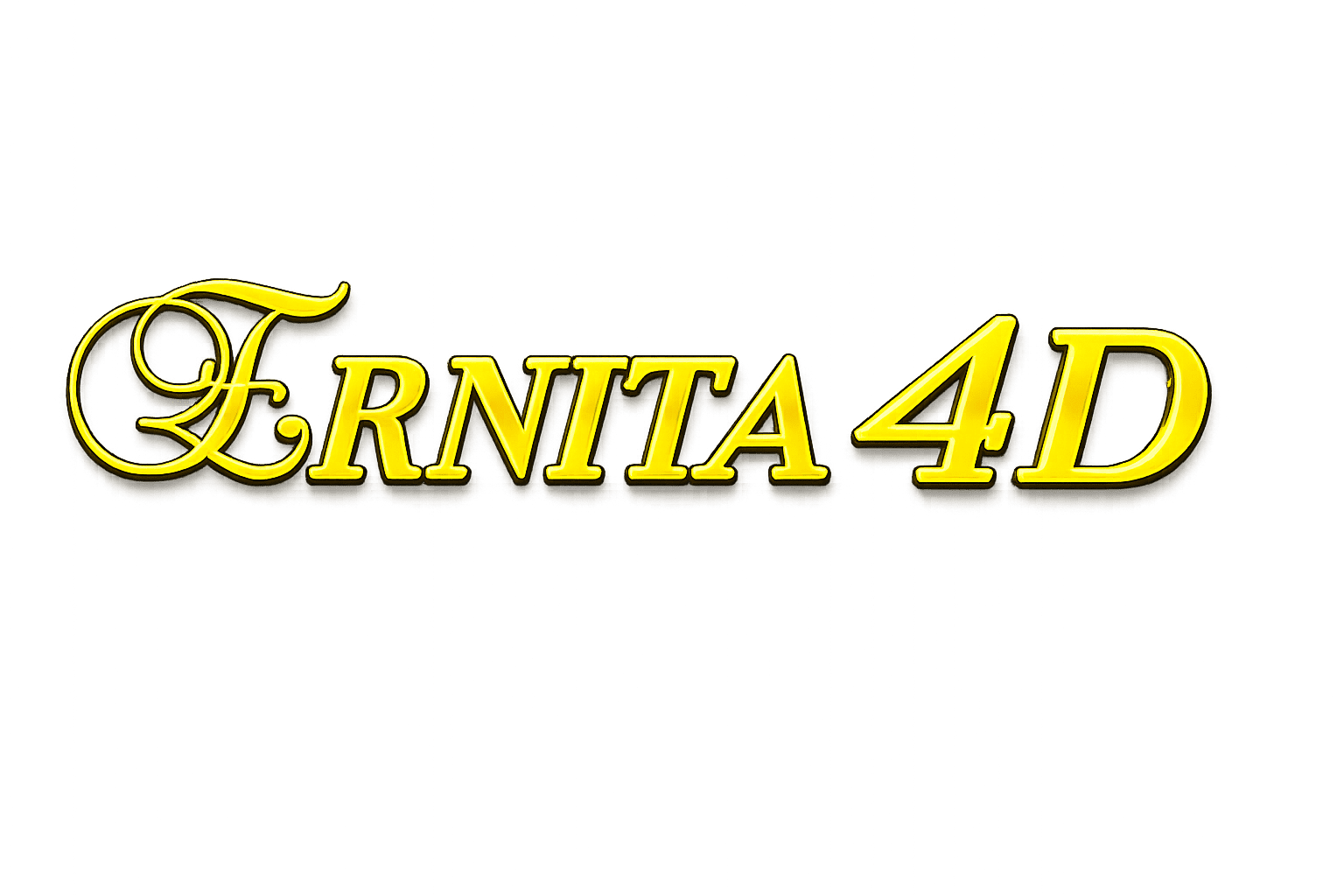 ERNITA4D Main Logo
